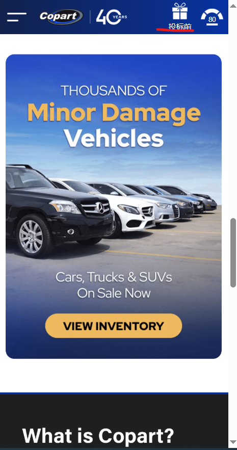 商品刷单抢单定制/刷单系统/海外抢单刷单/叠加组/信用分/真假人/独家ui